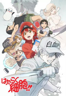 Assistir Hataraku Saibou!! 2° Temporada - Episódio 05 Online - Download &  Assistir Online! - AnimesTC